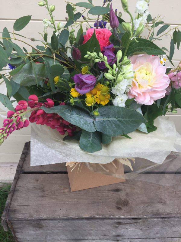 Special Occasion (10)