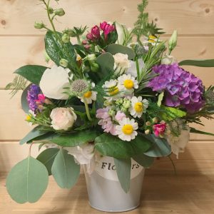 Special Occasion (8)